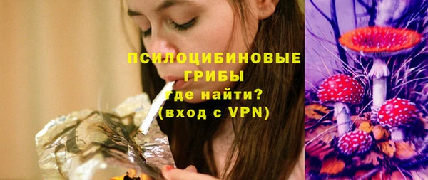 индика Абдулино