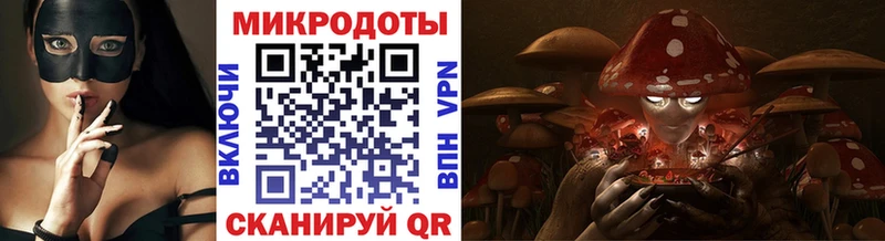 Галлюциногенные грибы Psilocybe  мориарти формула  Искитим  дарнет шоп 